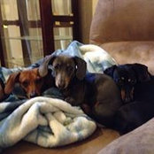 Rachel Willis's photo