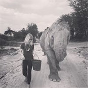 Chrissy Goldcamp's photo