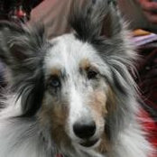 Margaret Coombs's photo