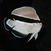 Austin Lefevre's photo