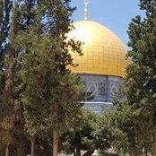Aida Jaber's photo