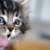 Barbara Pape's photo