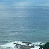 Karol Ruiz's photo