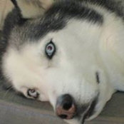 Barb Butts's photo