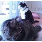 Photo de Julie Kimura