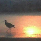 Foto von Roland Bell