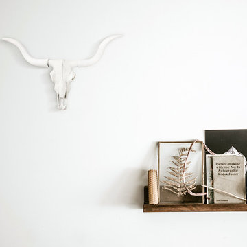 Faux Taxidermy White Longhorn Cow Skull