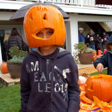 Halloween ideas