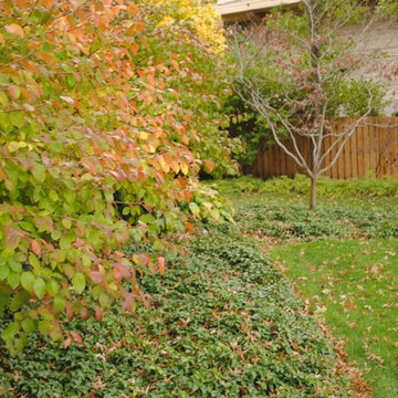 Charming Park-Like Backyard