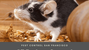 Sf Rodent Control