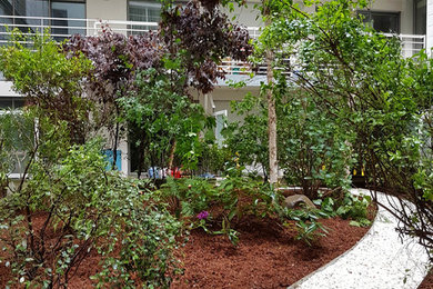 Mid-sized traditional courtyard garden in Paris.