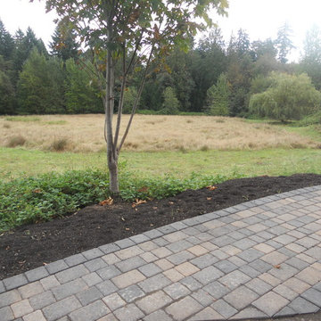 Patio/Walkway Makeover