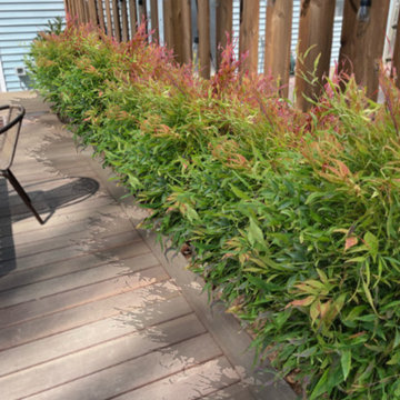 Small Patios