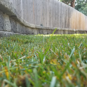 Improving My Backyard Patio & Adding Room to Play