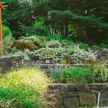 Audubon Certified Backyard Habitat