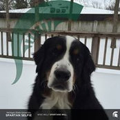 Kaelyn Rose's photo