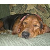 Debbie Cunagin's photo