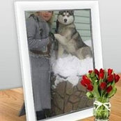 Foto de Ольга Мельник
