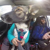 Jason Marineau's photo