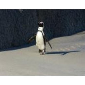 Janice Alder's photo