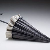 Elizabeth Brim's photo