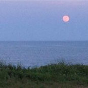 Paula Breen's photo
