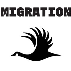 Migration Studios