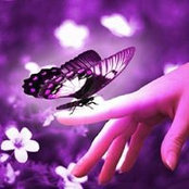 Pam Maybee's photo