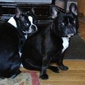 Carolyn Keyes's photo