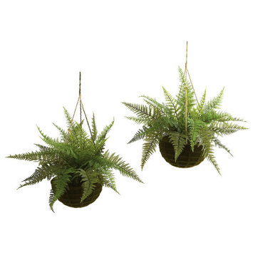 Indoor Outdoor Leather Fern With Mossy Hanging Basket, Set of 2
