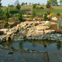 Ponds