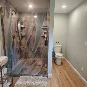 Walk-in Shower Remodel with Champagne Gold