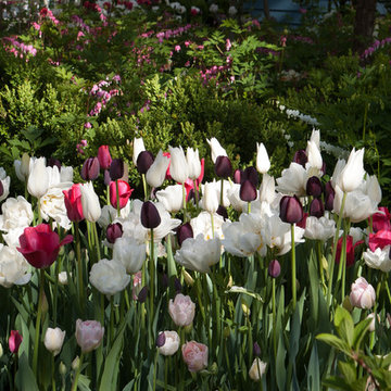 Spring Bulb Garden