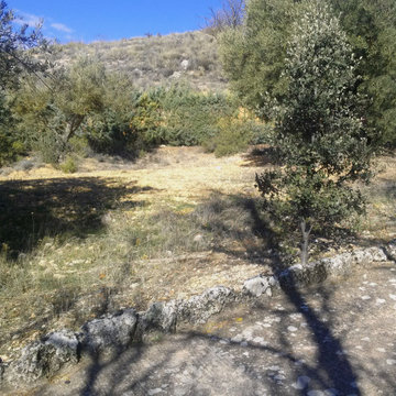 EL JARDÍN SIN RIEGO