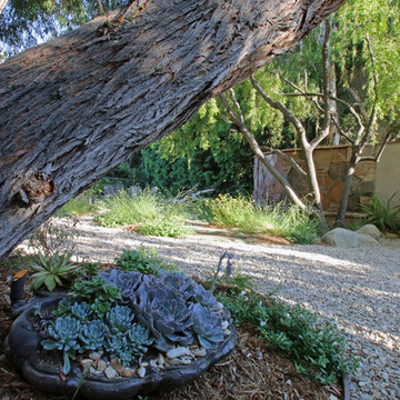 Westwood Landscape