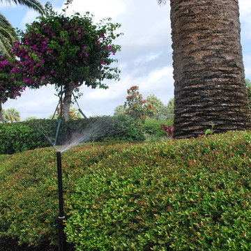Rood Landscape Projects