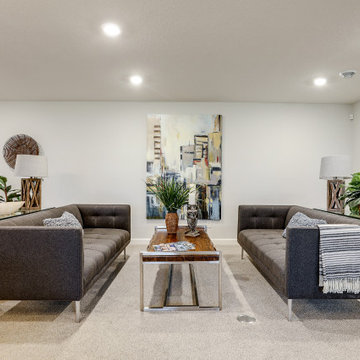 17 Phoebe Lane North Oaks