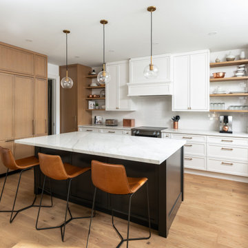 MAJOR RENOVATION/ADDITION - Chestnut Hills Area
