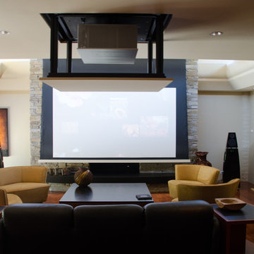 Modern Transitional Living Room