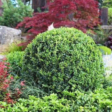 Jules Zen Garden 2018 Best in Show NZ Flower & Garden Show