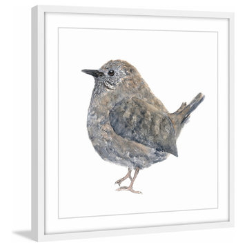 Marmont Hill, "Wren Bird" by Thimble Sparrow Framed Painting Print, 12x12