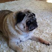 Laurie Bommes's photo