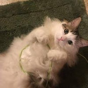 Kathy Kamin's photo