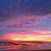 Michael Moroney's photo