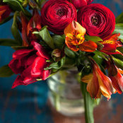 Foto de Rose
