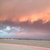 Carol Serpico's photo