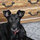 marie_sipe7