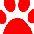 Gutter Dogs's profile photo