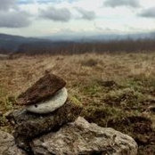 Charlie Bateman's photo
