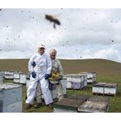Eileen Menefee's photo